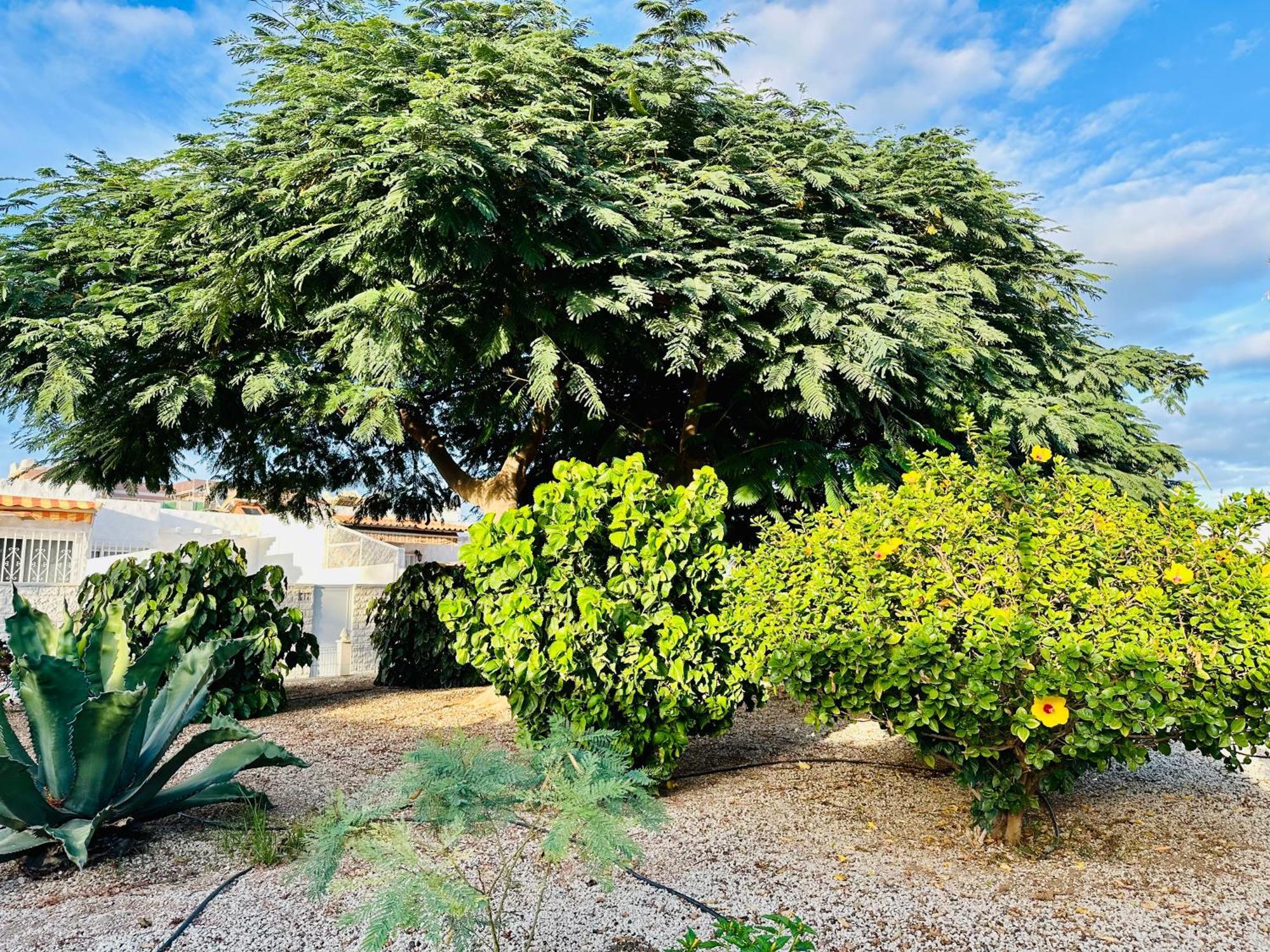Casa Una Bungalow Delux Arona  Εξωτερικό φωτογραφία